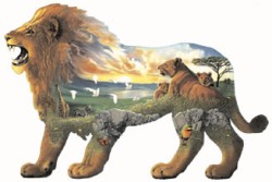 Lion's Pride By: John Van Straalen