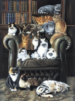 A Cat's Life By: Polly Anna Pickering